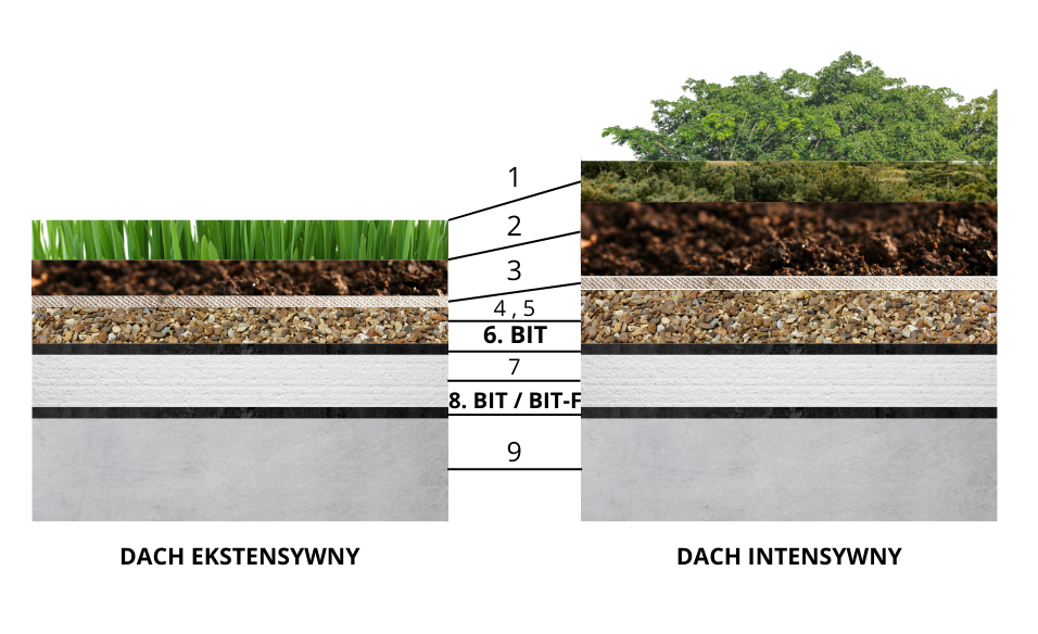 Zielony dach warstwy